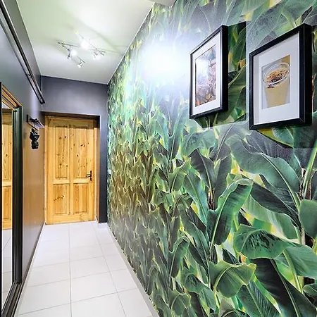 Apartment Stylish Jungle